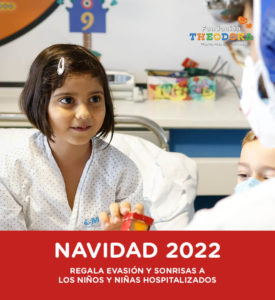 NAVIDAD 2022 FUNDACIÓN THEODORA